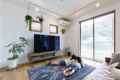 高さのある家具やテーブルを置かず、床に寝転がってくつろげる場に。多彩な植物と窓越しの緑に癒やされます。