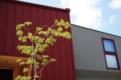 塗り壁とガルバリウムが描く立体感が特徴的な外観。アプローチに植栽された涼しげなシンボルツリーが映えます。